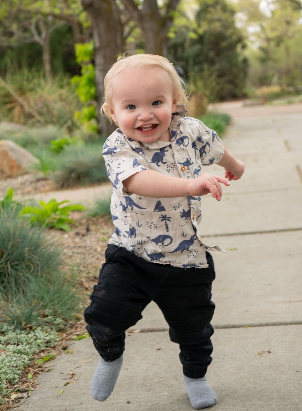 Happy toddler boy in dinosaur print shirt and black pants walking on a garden path, smiling joyfully.