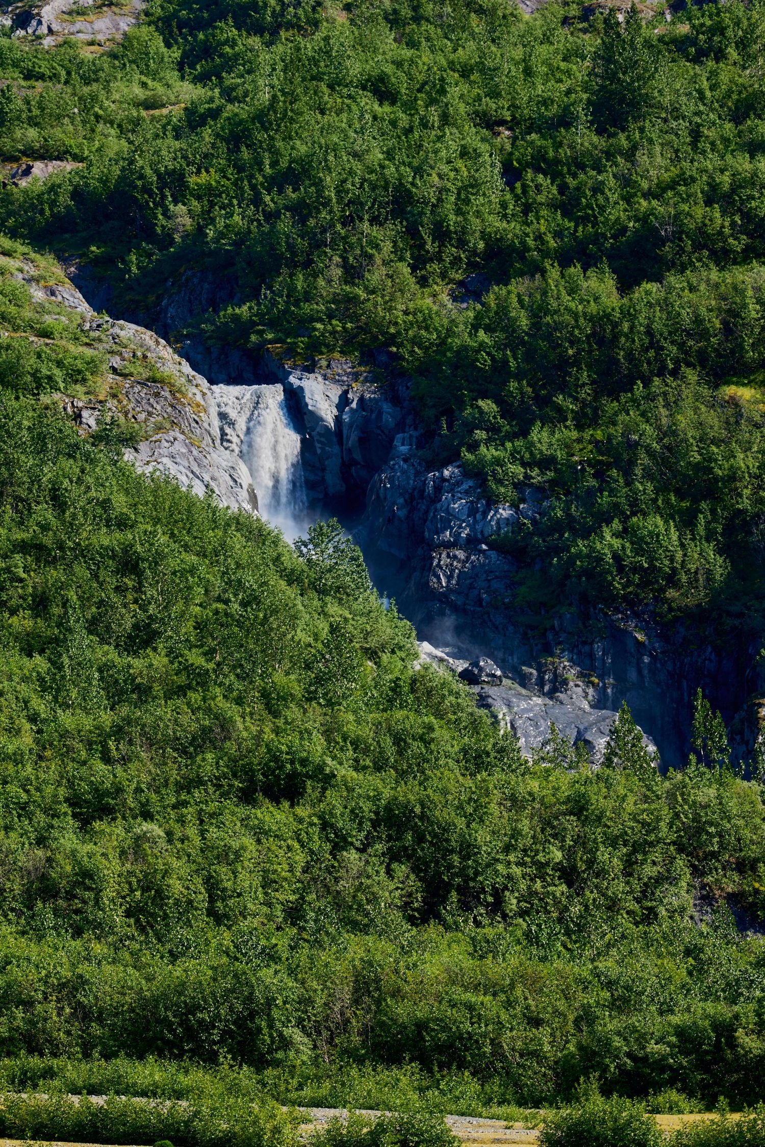 Waterfall cascades down rocky cliff face surrounded by lush green forest.