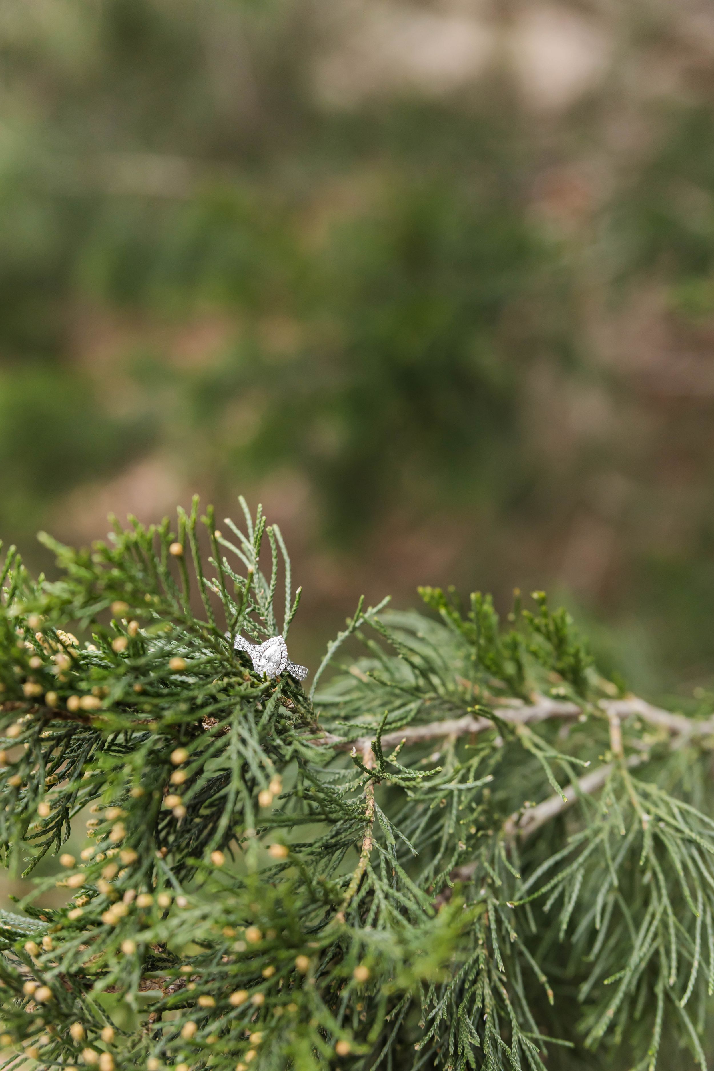 detail of engagement ring in a beautiful winter pine tree