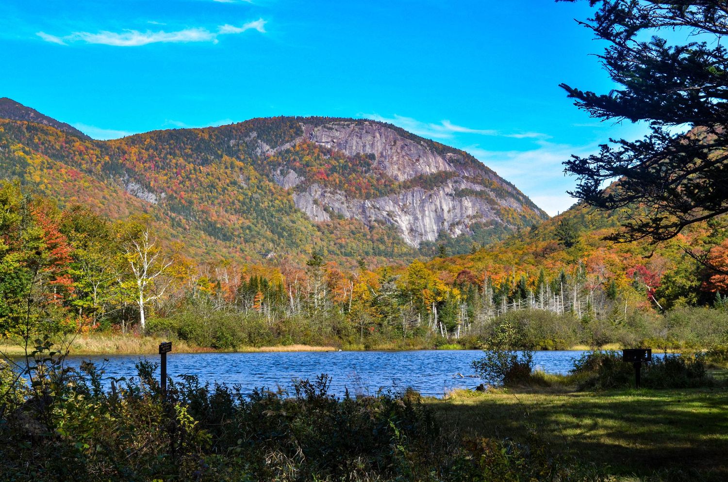Landscape, Wildlife, Portraits, Small Events and more!