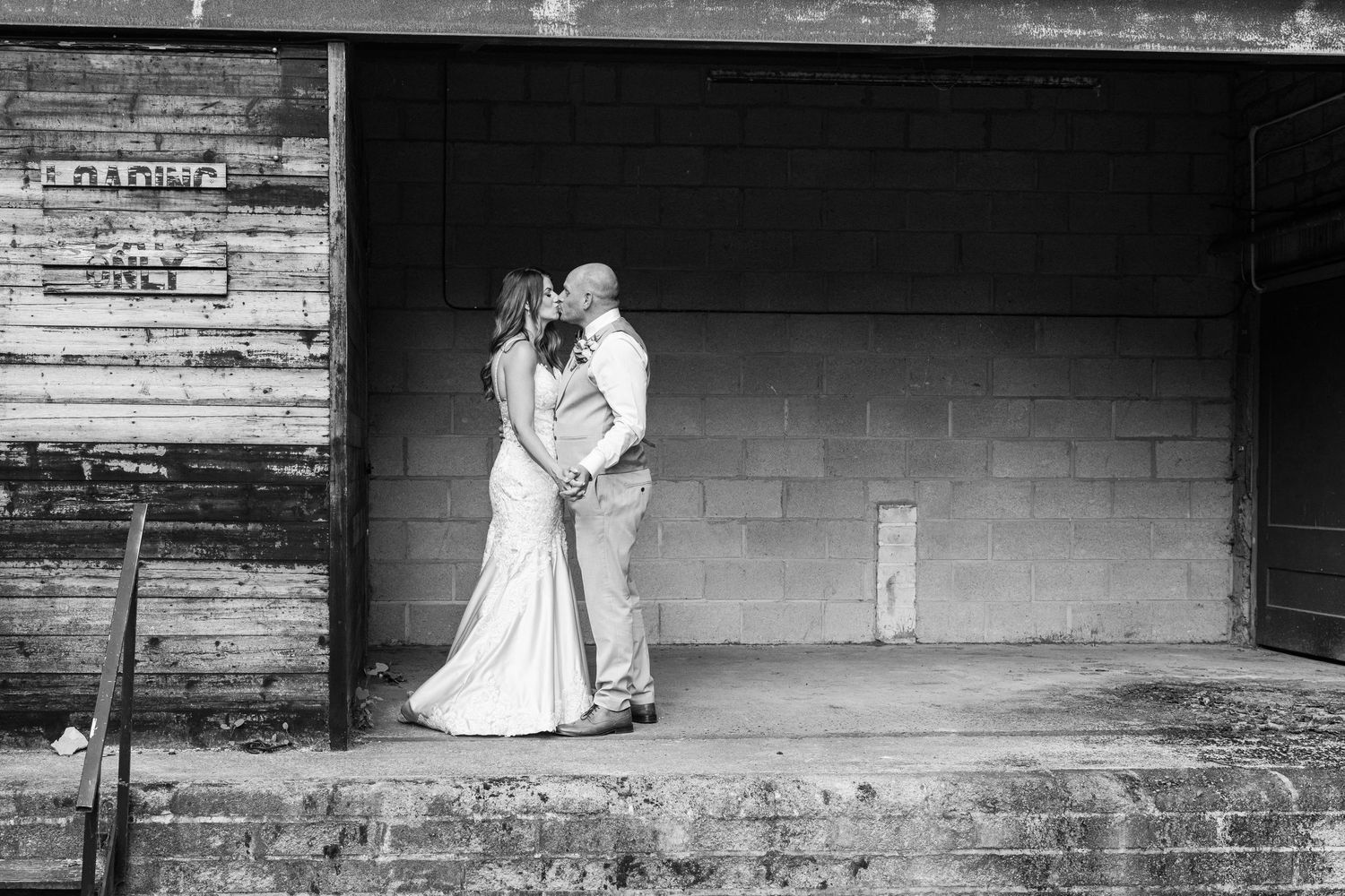 Jason Stuart Photography , West Yorkshire Wedding Photographer-pet photography