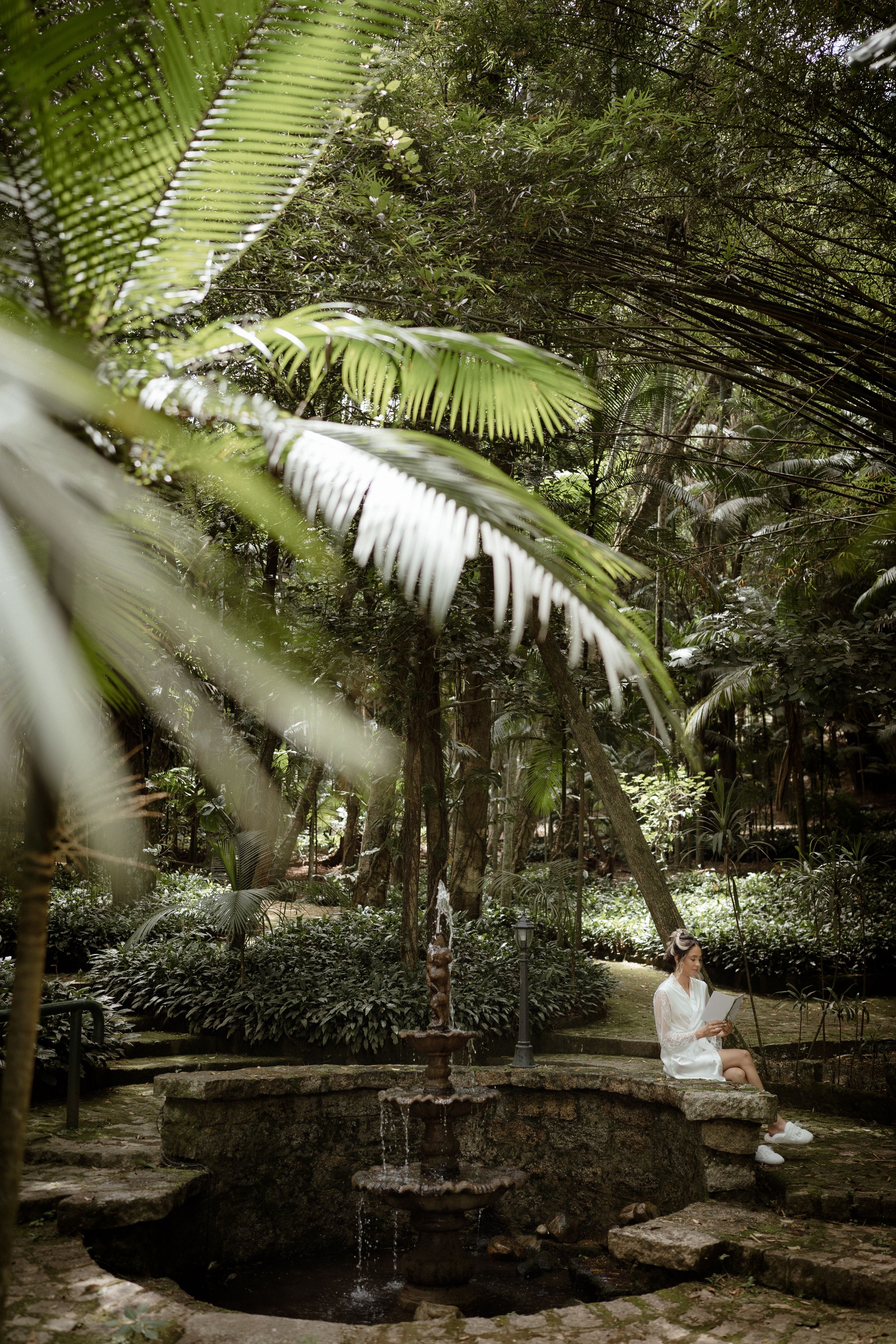 Serene tropical garden path lined with palm trees and stone walls.