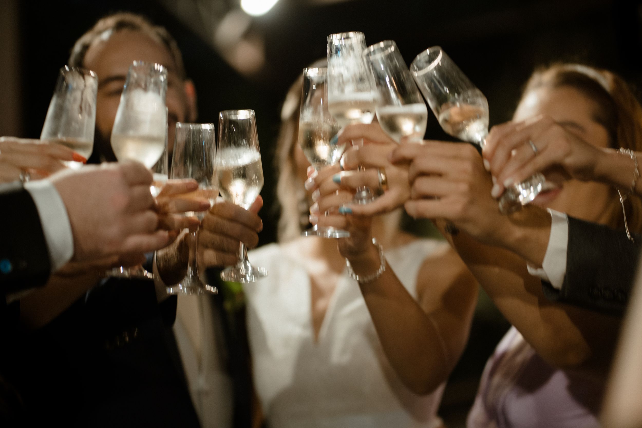 Wedding guests raise champagne glasses in a celebratory toast during reception.