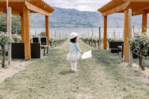 best top profession wedding photographer photography videographer videography Vancouver Langley chilliwack Surrey Fraser