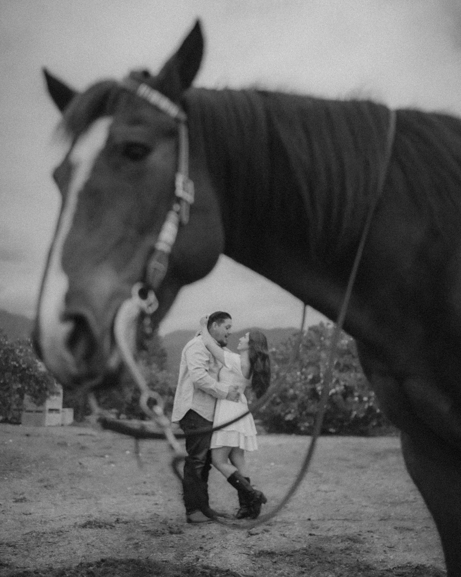 Couple photography with horses near Los Angeles California
