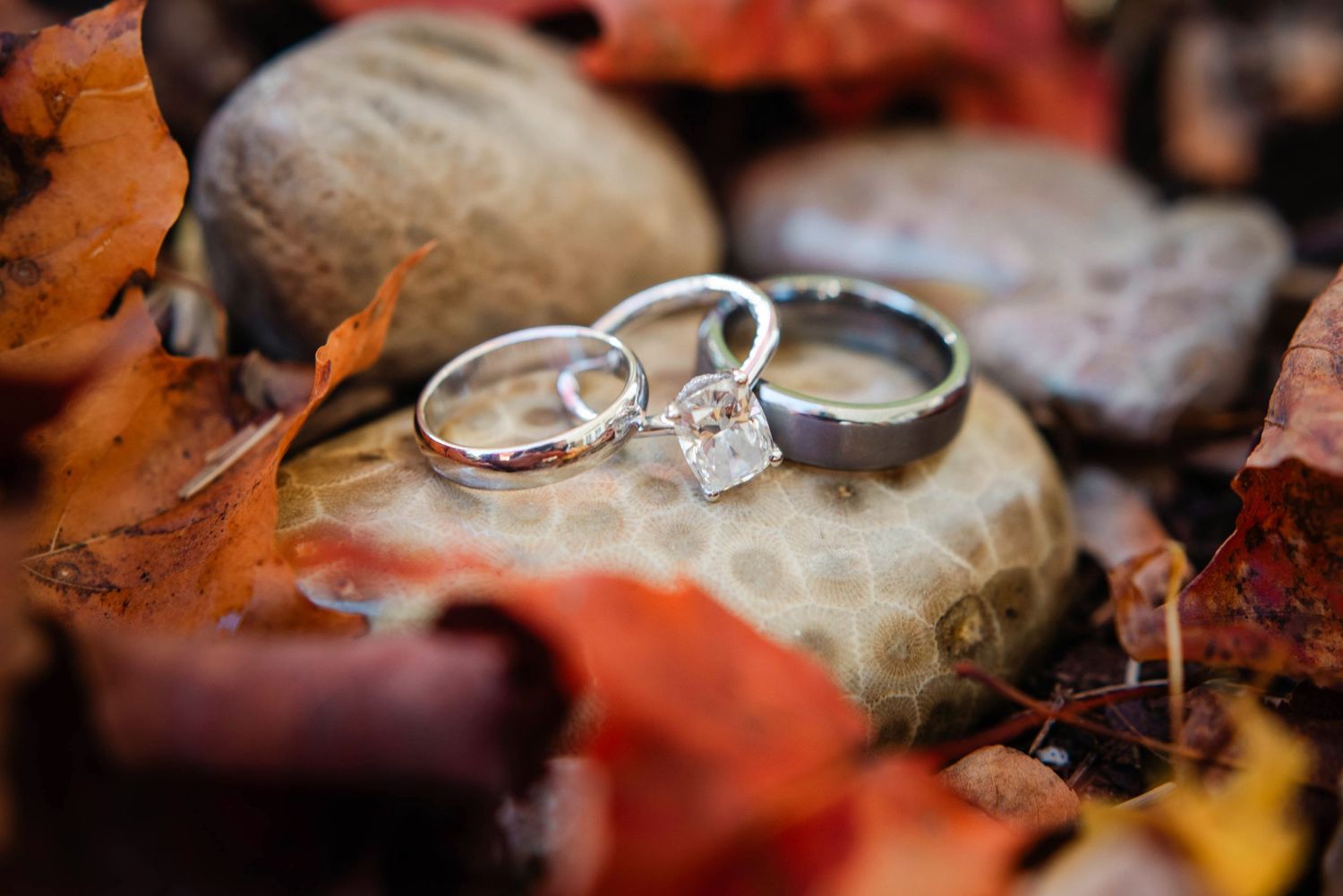 Bay Harbor Golf Club wedding