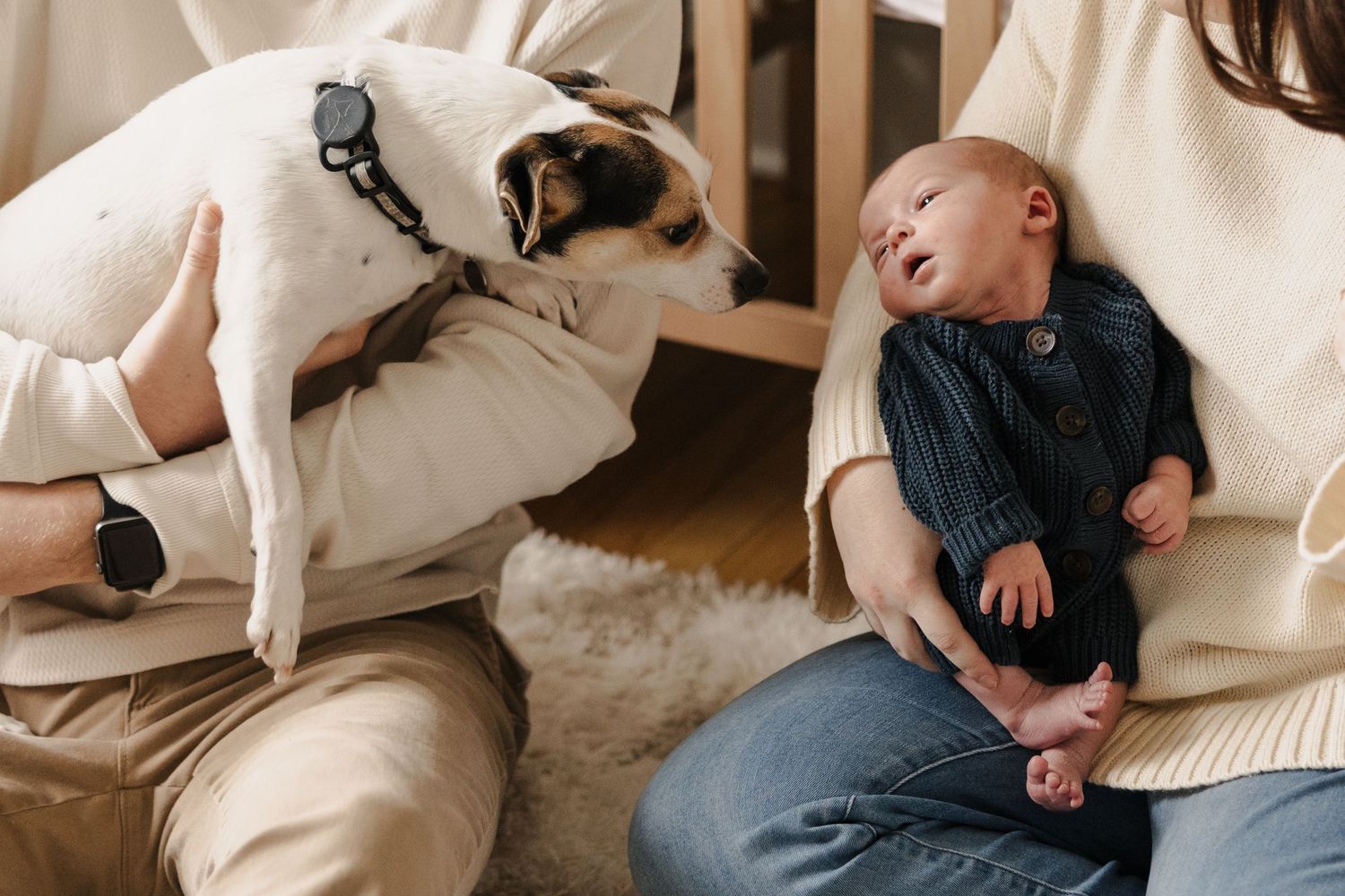 Relaxing and warm at-home photography photo newborn session with family, baby, and dog in Akron, Ohio and Northeast Ohio.