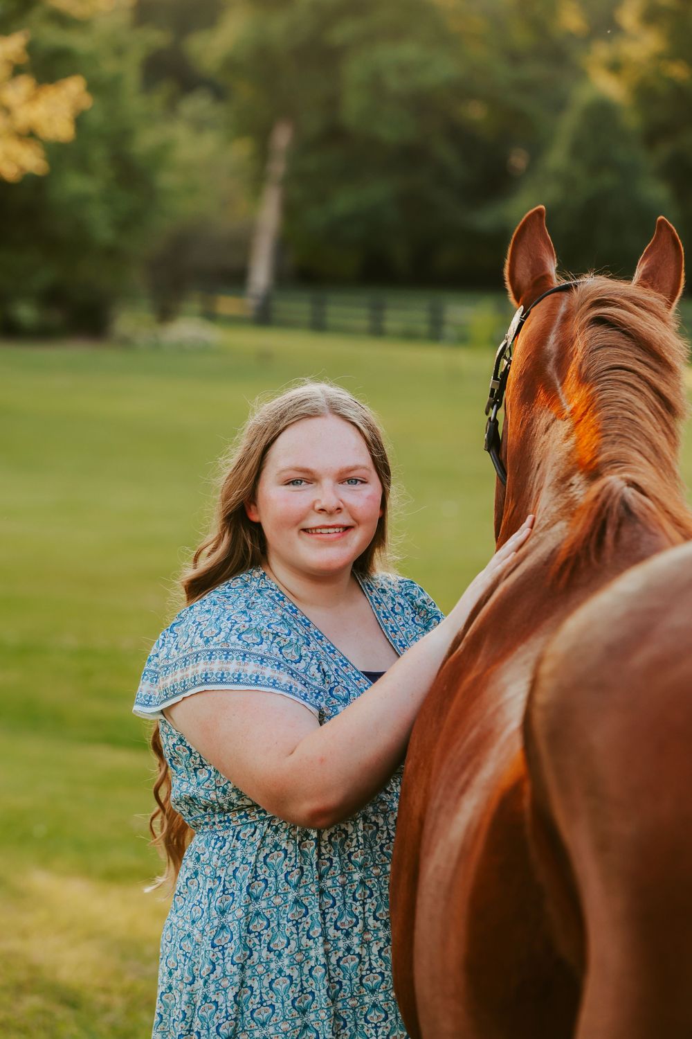 A chestnut horse stands calmly while being petted in a lush green summer field.