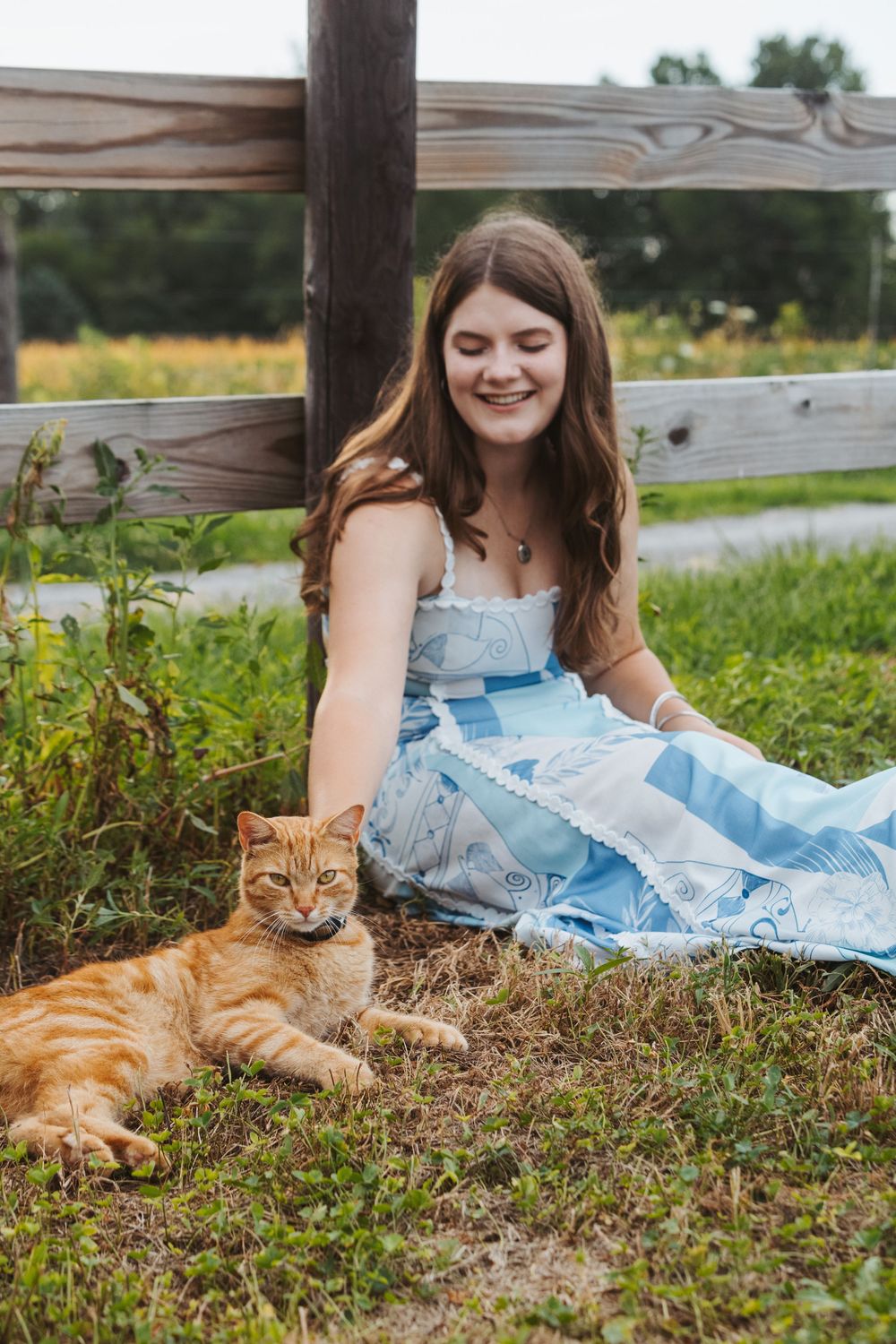 A ginger cat lounges in the grass while someone in a blue dress relaxes nearby.
