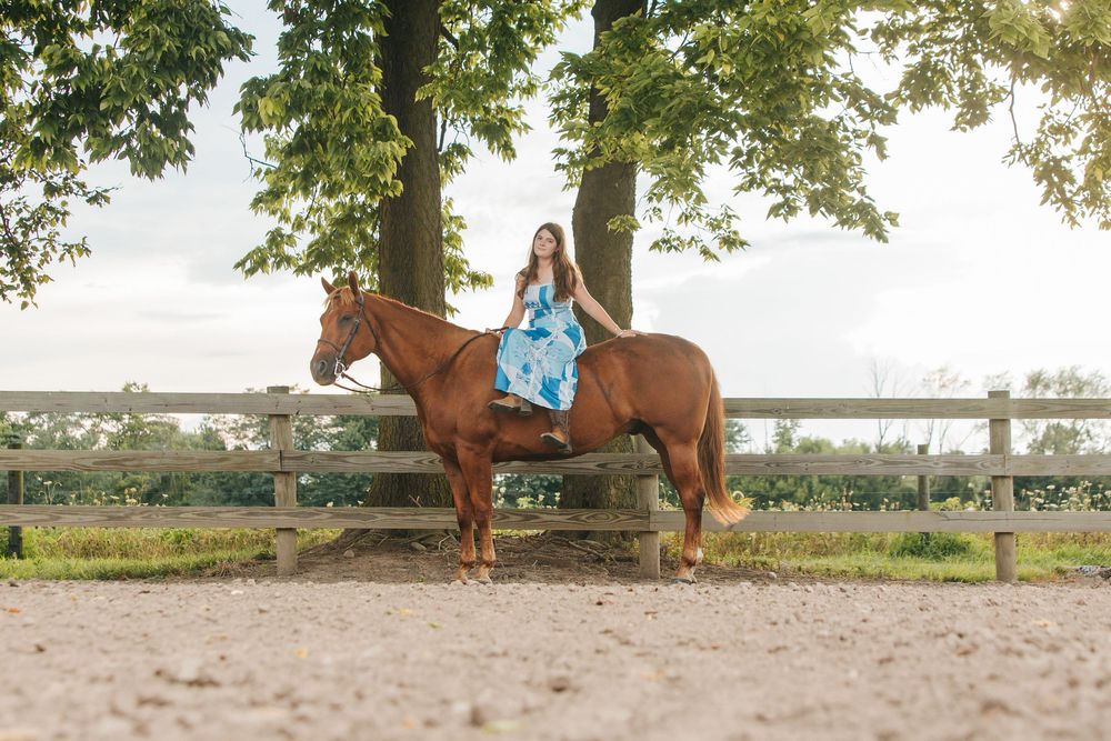 A scenic countryside view with horses and fencing stretches across a rural landscape.