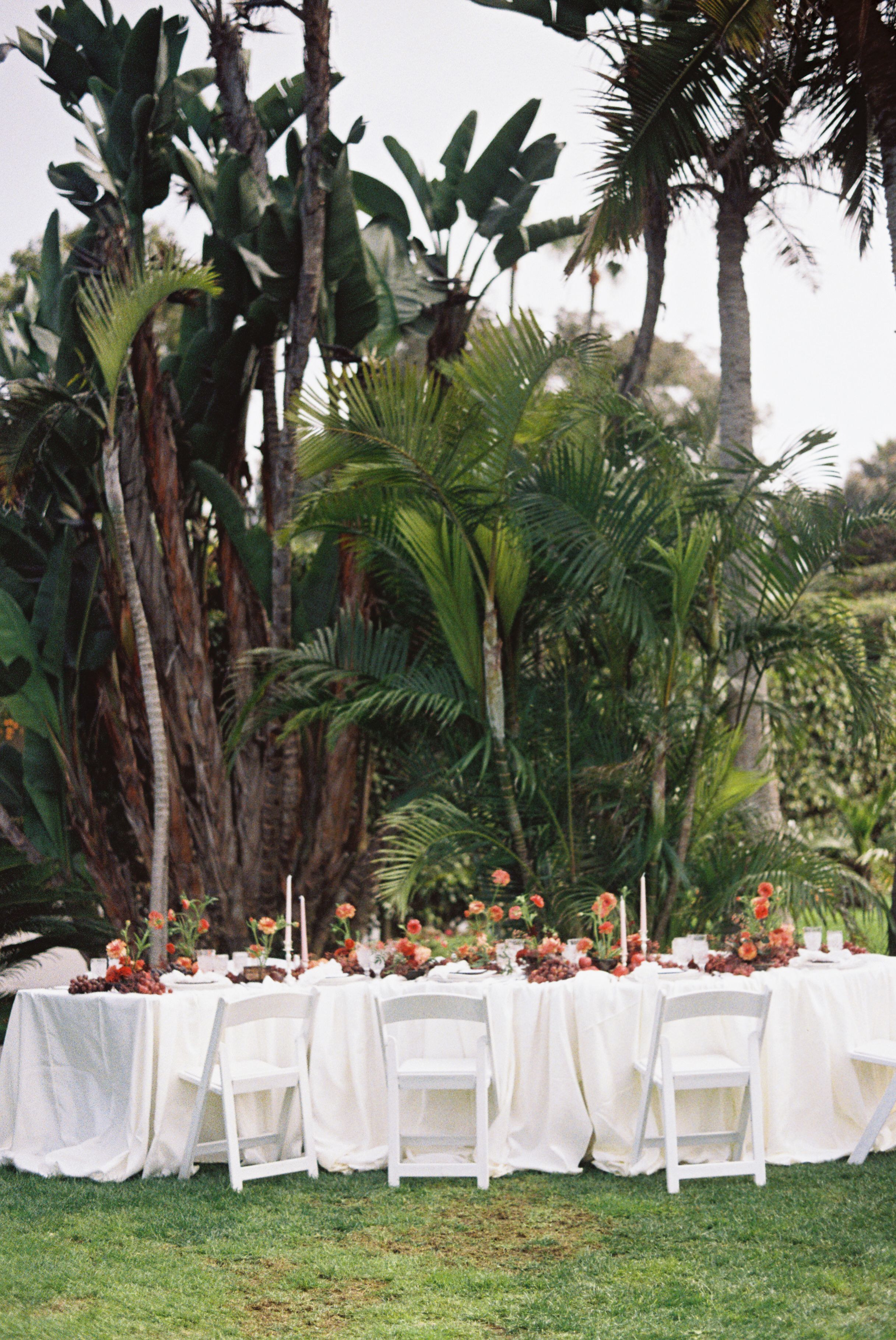 Elegant outdoor wedding reception table with white linens and chairs set against tropical palm trees and lush greenery, shot on film in CA