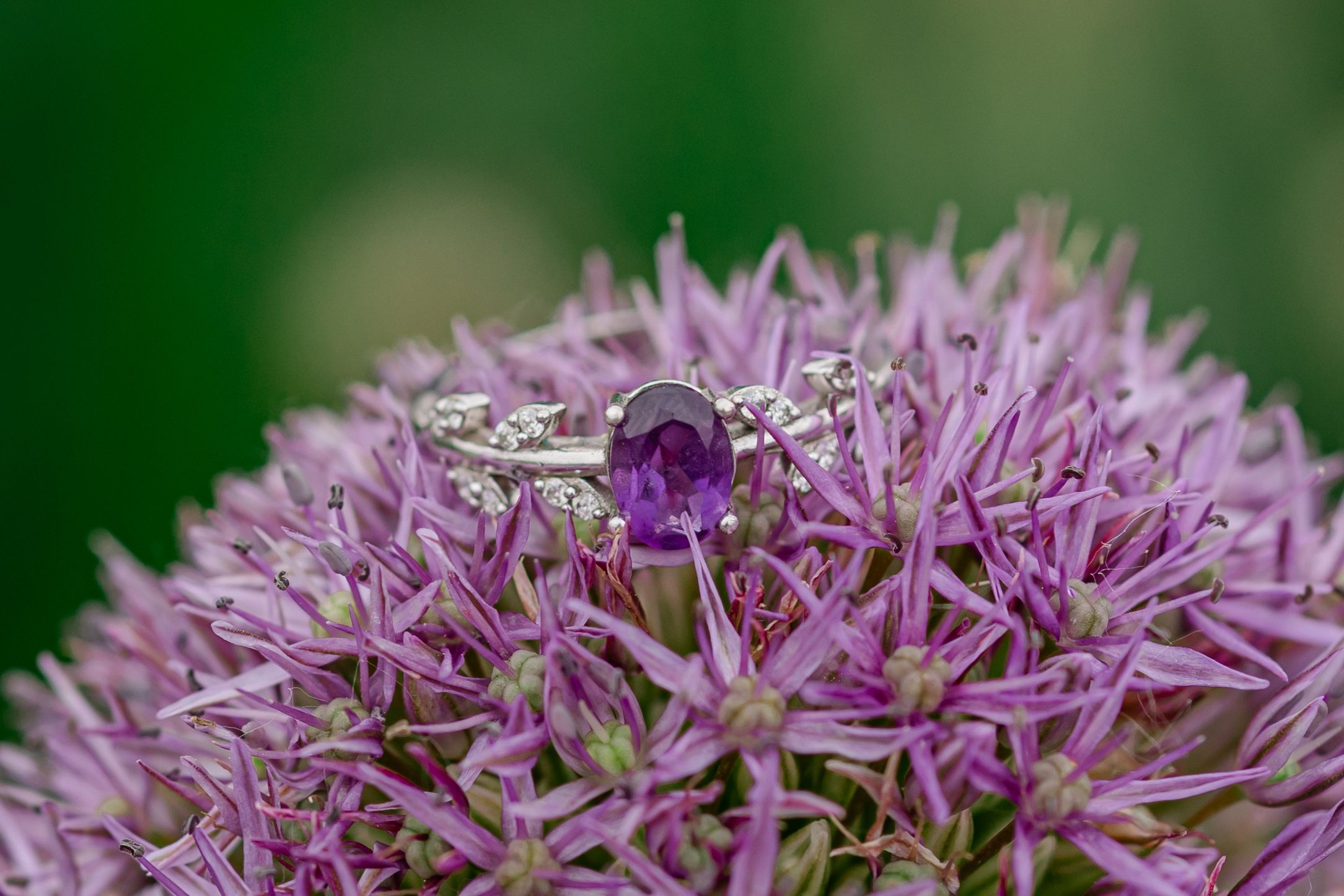 Silver ring with oval amethyst gemstone and diamond accents displayed on a purple allium flower bloom.