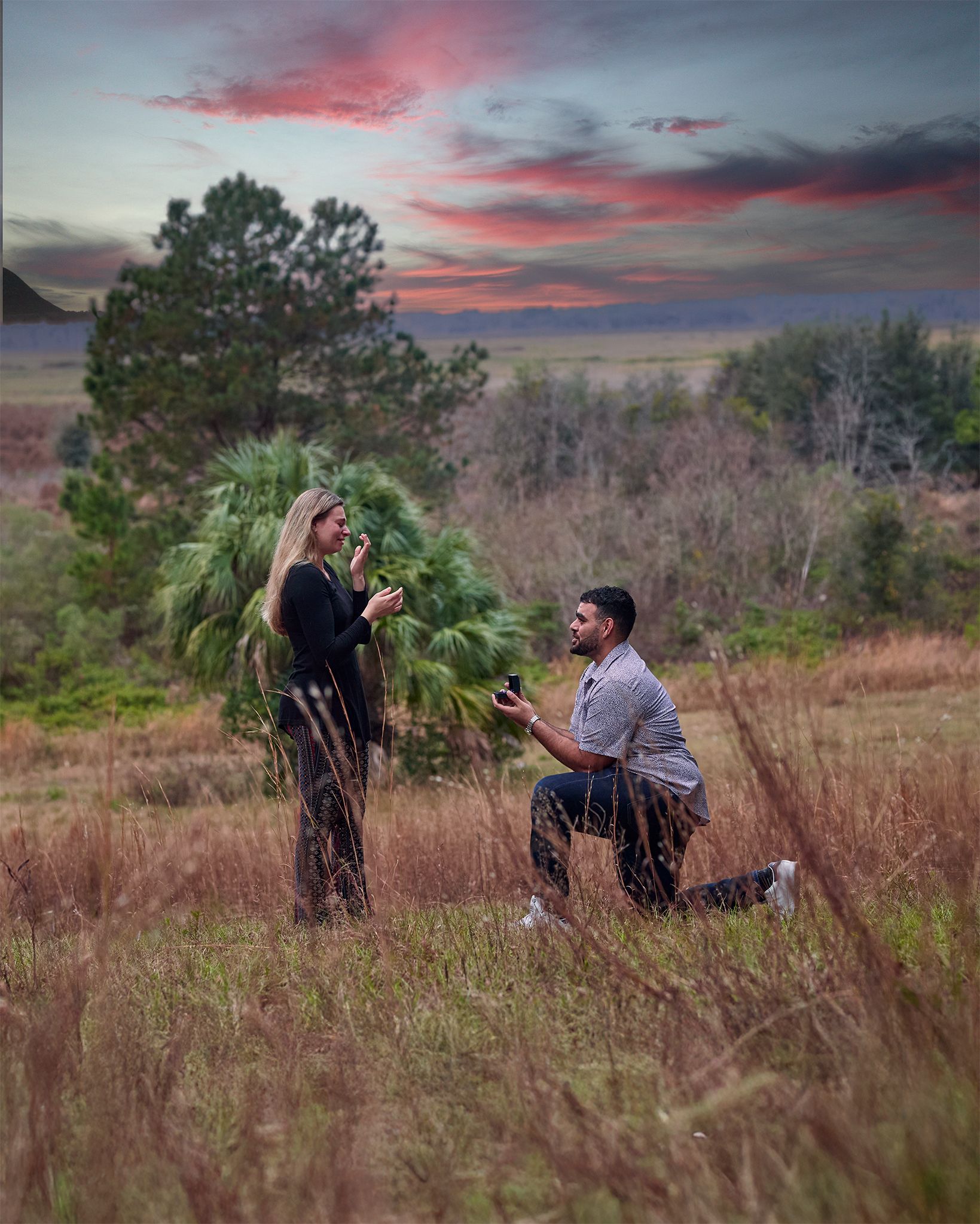 A proposal moment captured in a field at sunset with tall grass and pine trees in the background.