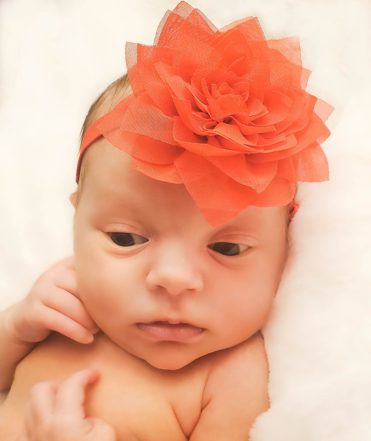 Baby wearing large coral flower headband against white background.