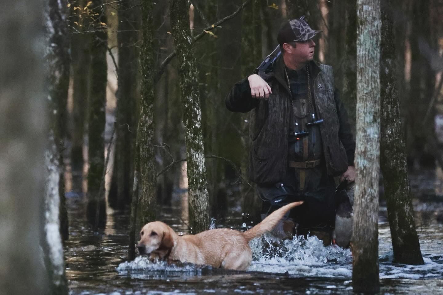 Dog splashing through snowy forest during winter playtime.