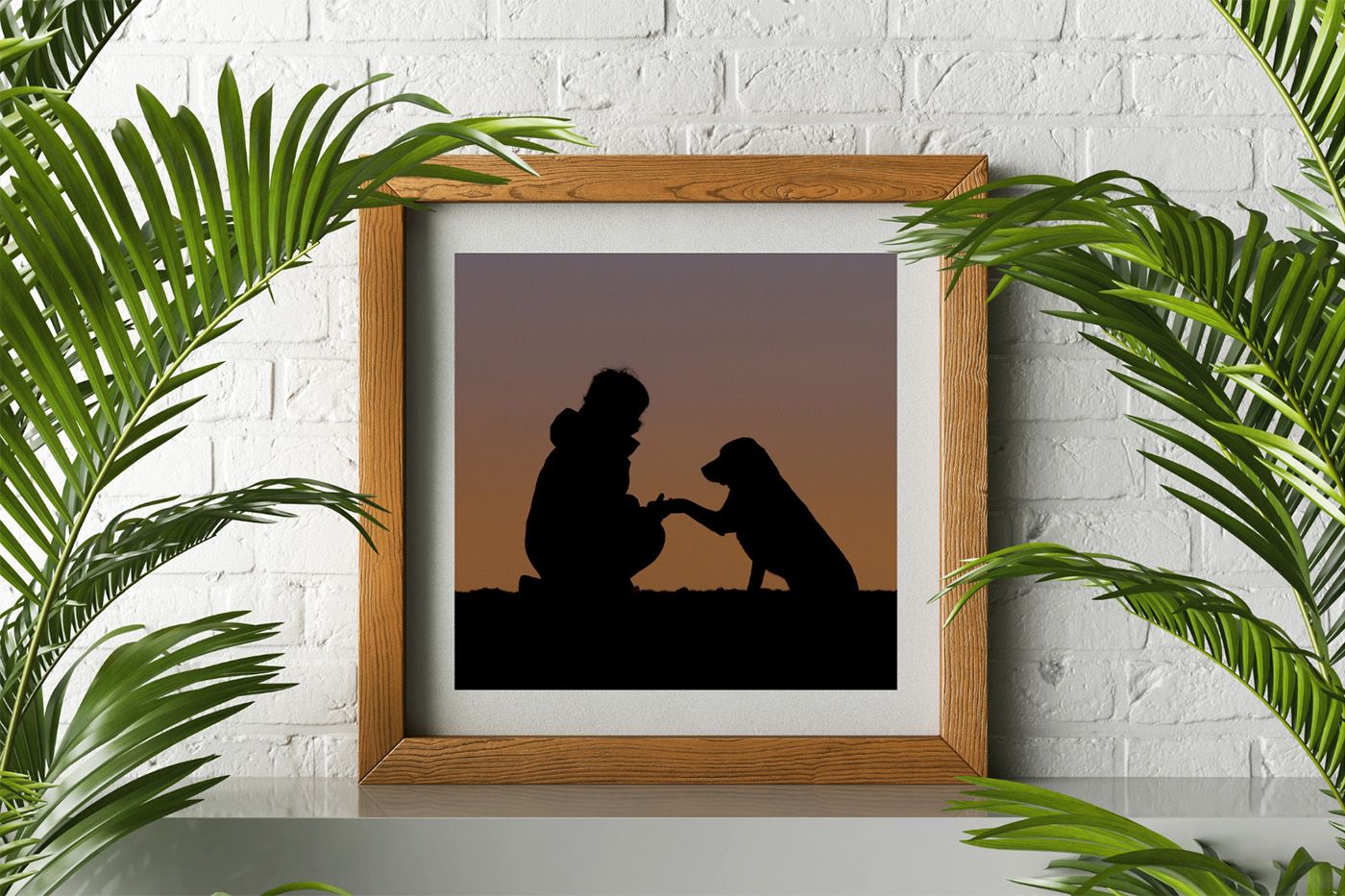 a silhouette of a lady and her Labrador taken at Eastney Beach