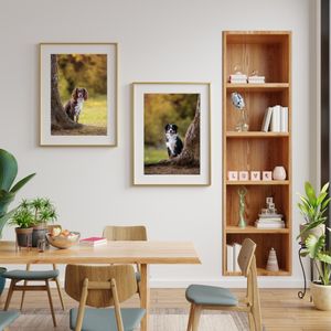 two wall art of a spaniel and an australian shepherd both peaking from behind a tree