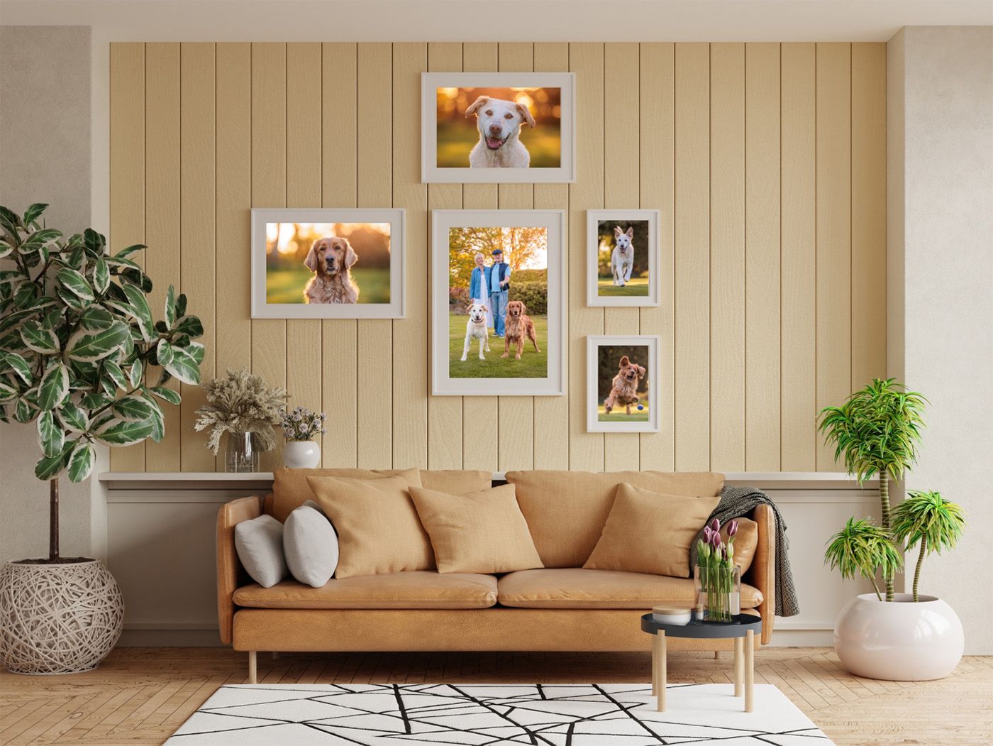 wall art gallery of a family with a yellow lab and a golden retriver