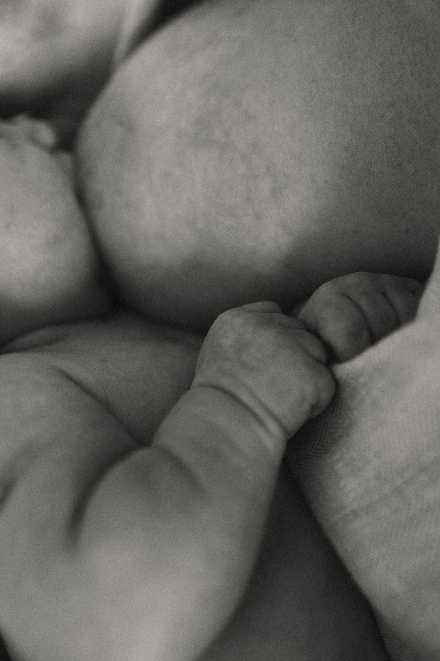 Abstract close-up photographs showing soft curves and shadows in black and white.