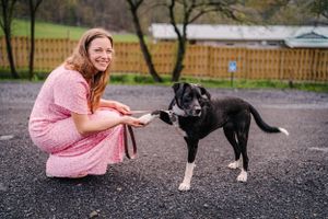 Person in pink dress plays with black and white dog in outdoor setting.