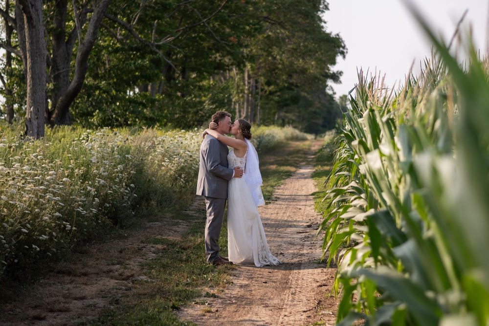 Couple walking hand in hand through a sunlit garden path with lush greenery and corn stalks on either side.