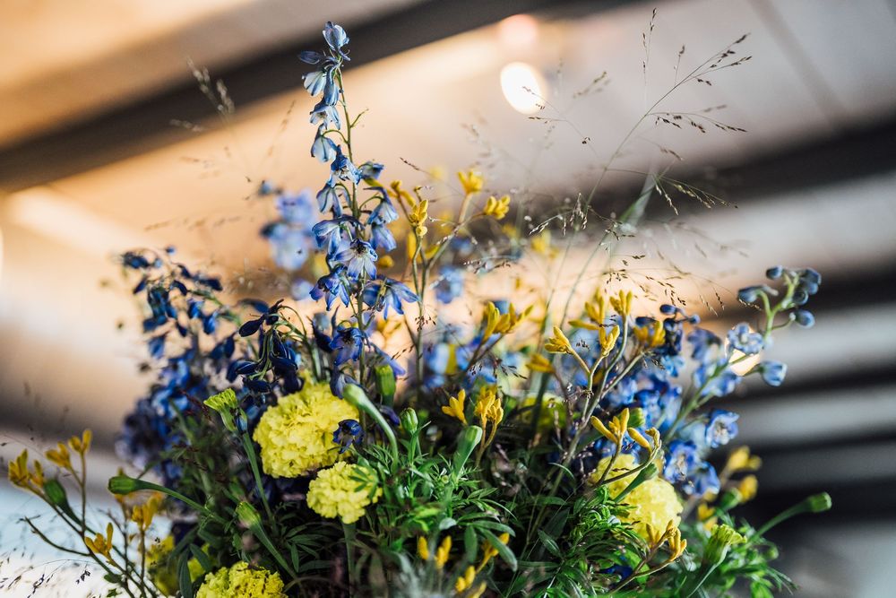 Delicate blue and yellow wildflowers arranged in rustic vases create a charming garden-inspired display under warm lighting.