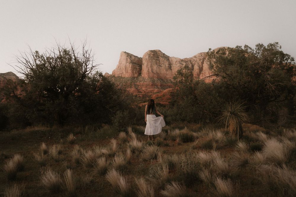 Atmospheric desert portrait with distant red rocks and desert vegetation.