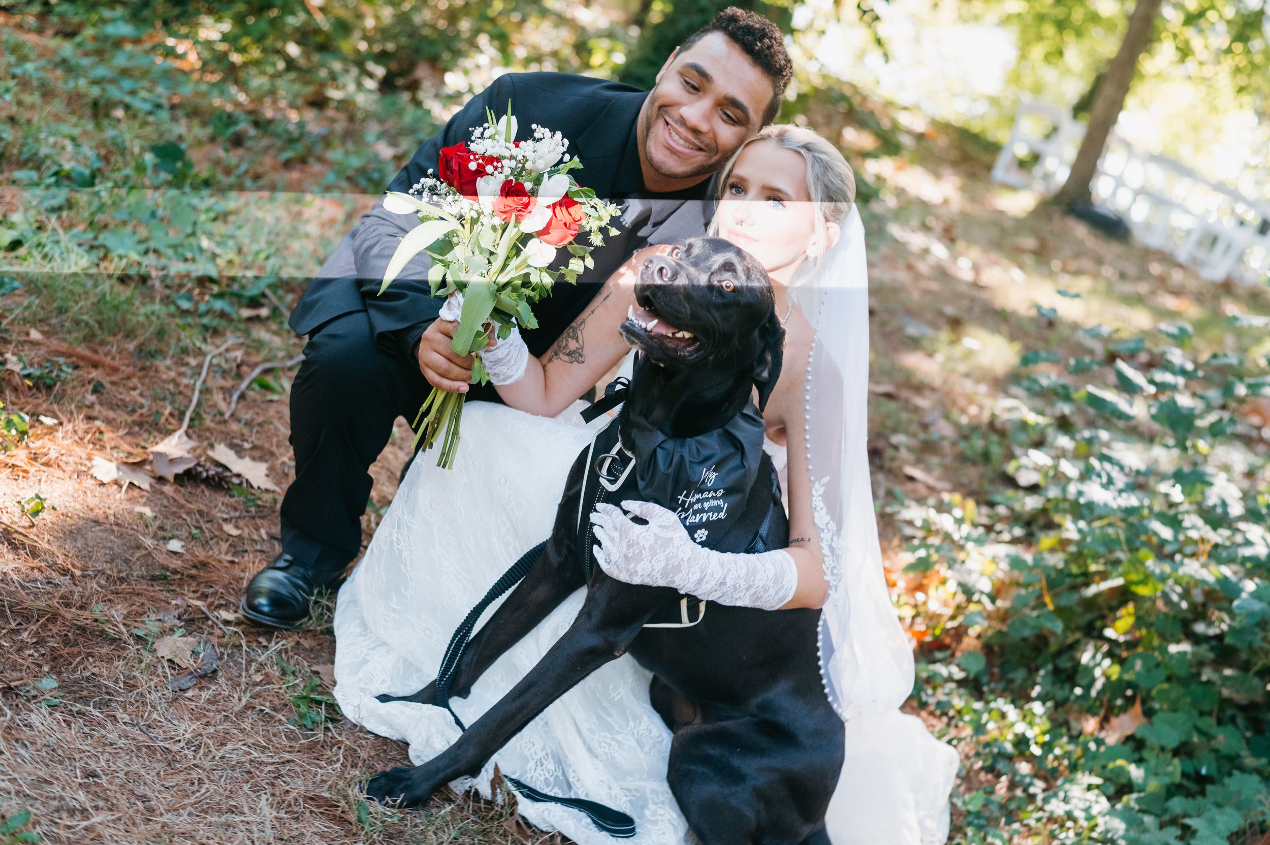 Wedding photo in park with dog
