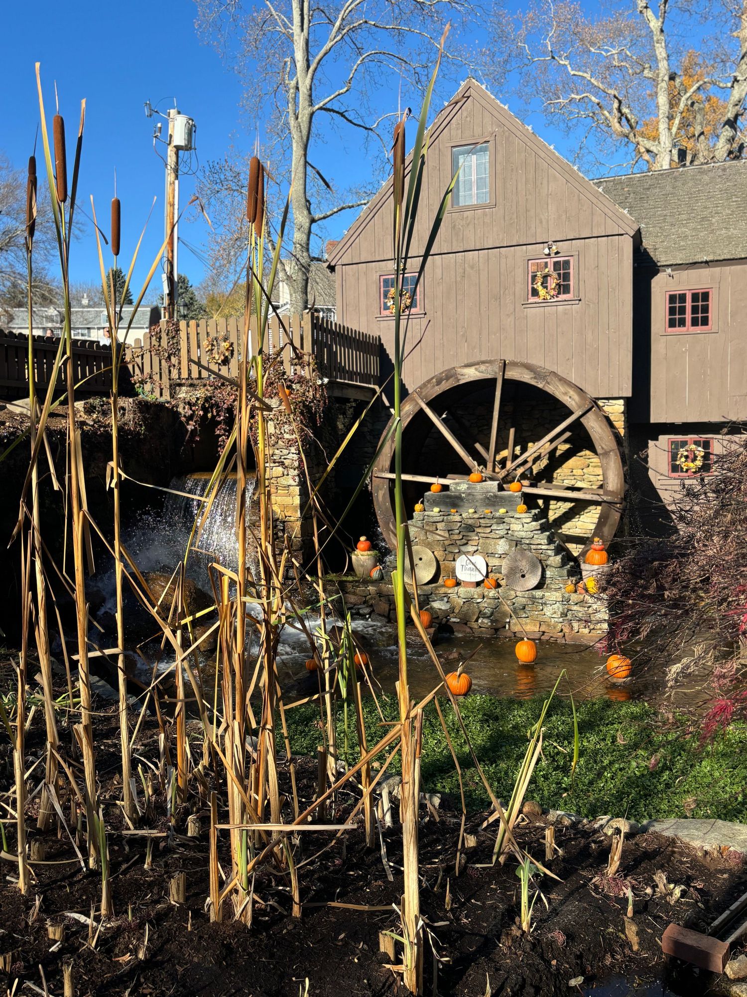 Experience the vibrant beauty of a farm in the fall with stunning images of golden fields, colorful autumn leaves, and bountiful harvests. C