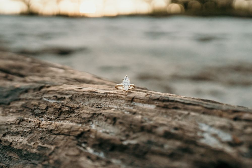 Diamond engagement ring rests on textured driftwood by the water.