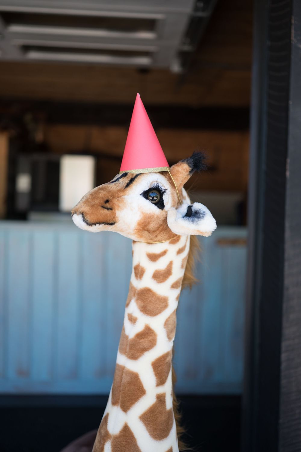 A plush giraffe decoration wearing a pink party hat against a blue background. Nuzzo's Farm Branford Connecticut