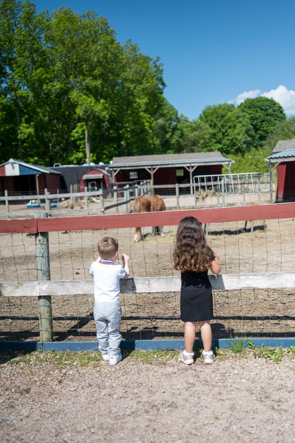 Children sitting on a fence watching activities at a rustic farm venue. Nuzzo's Farm Branford Connecticut