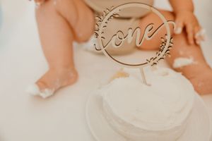 Family photographer Michigan cake smash