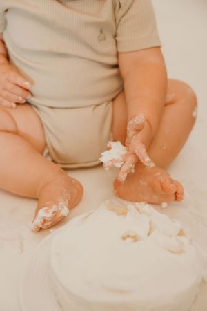 Family photographer Michigan cake smash