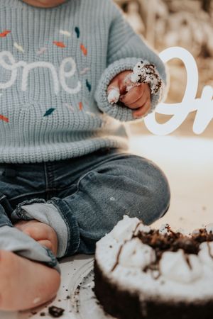 1st birthday cake smash, metro detroit michigan photographer the social 734