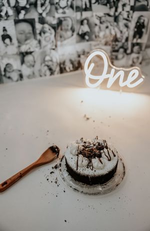 1st birthday cake smash, metro detroit michigan photographer the social 734