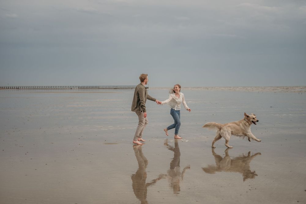 Two people playfully walking on wet sandy beach during overcast day with dog running alongside them.