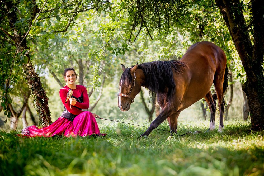 Photographe animalière