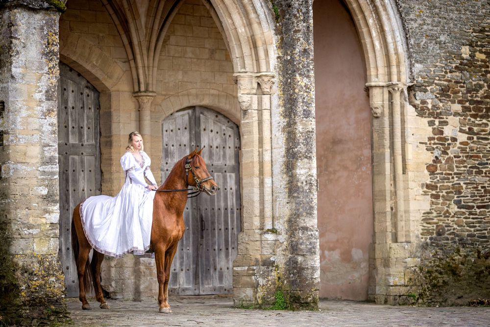 Photographe Equestre