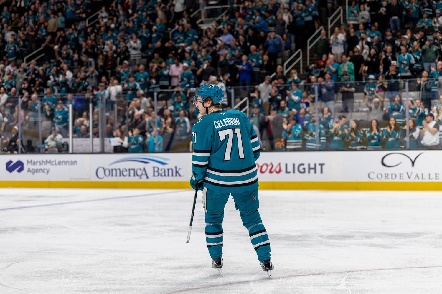 San Jose Sharks player number 71 Celebrini skating on ice during an NHL game at a packed arena.