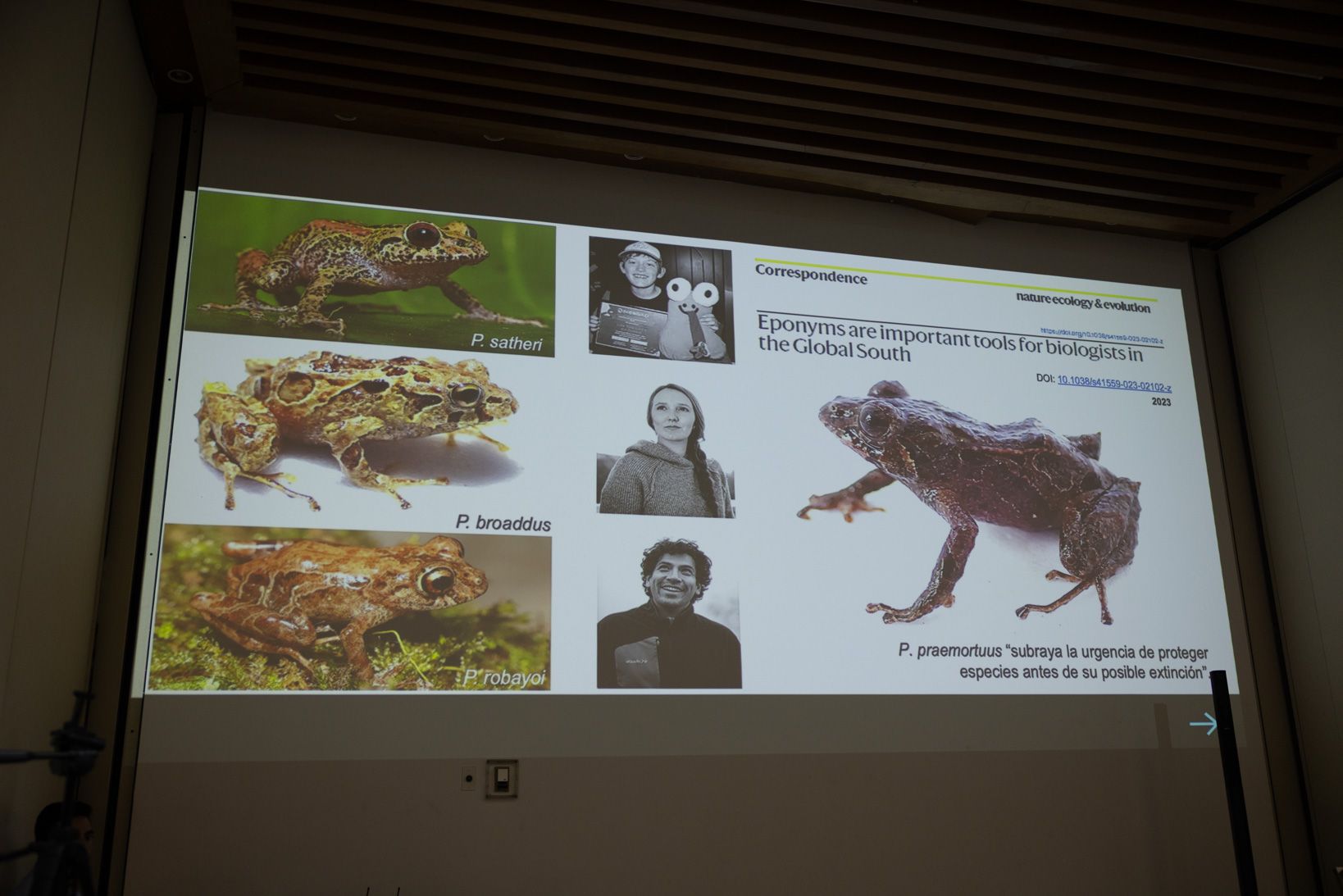 In 2025, INABIO and Fundación EcoMinga honored our lasting friendship and work together by naming a frog in my honor—Pristimantis broaddus.