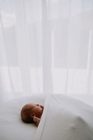 Newborn photographer in nelson tasman motueka
