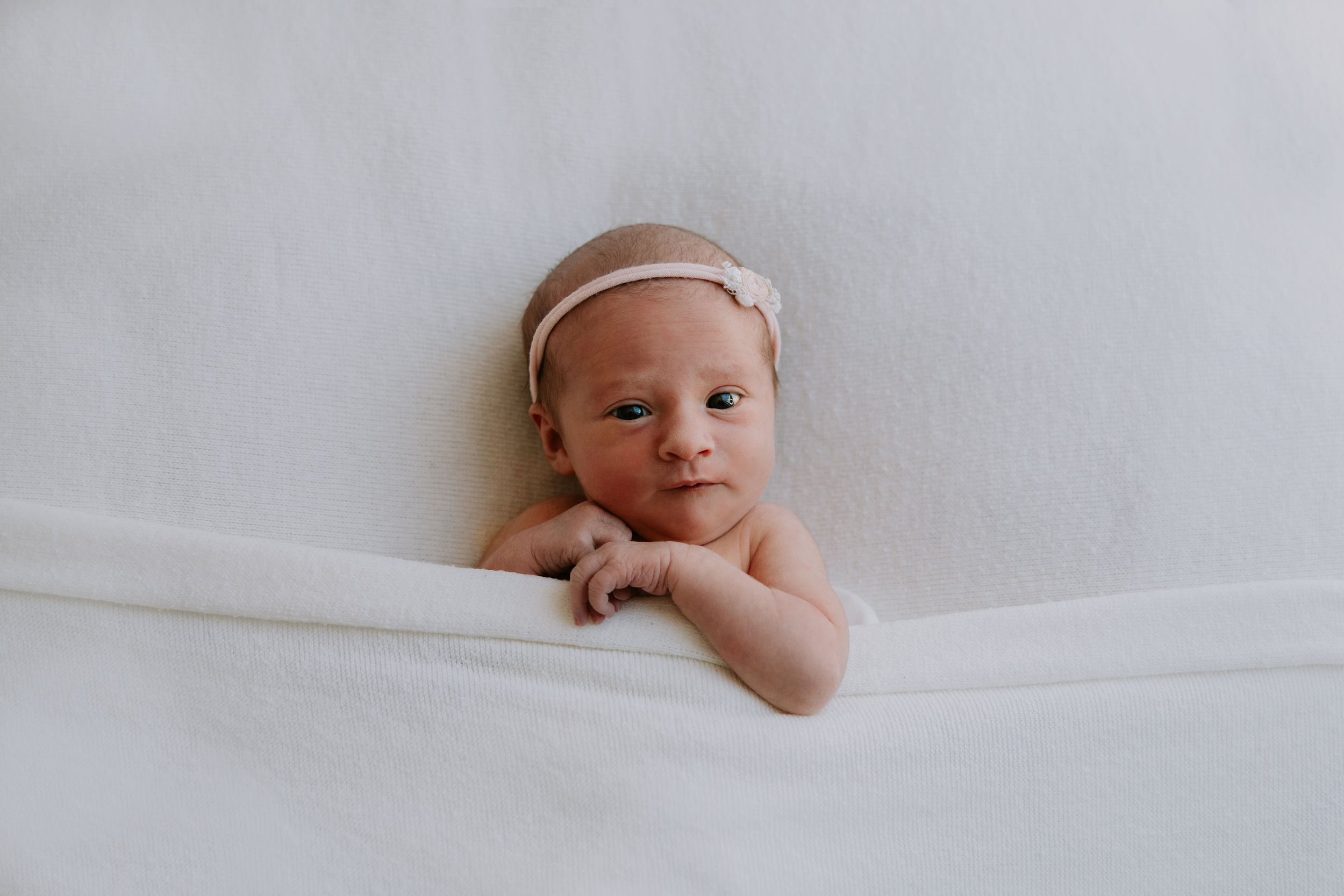 Newborn photographer in nelson tasman motueka