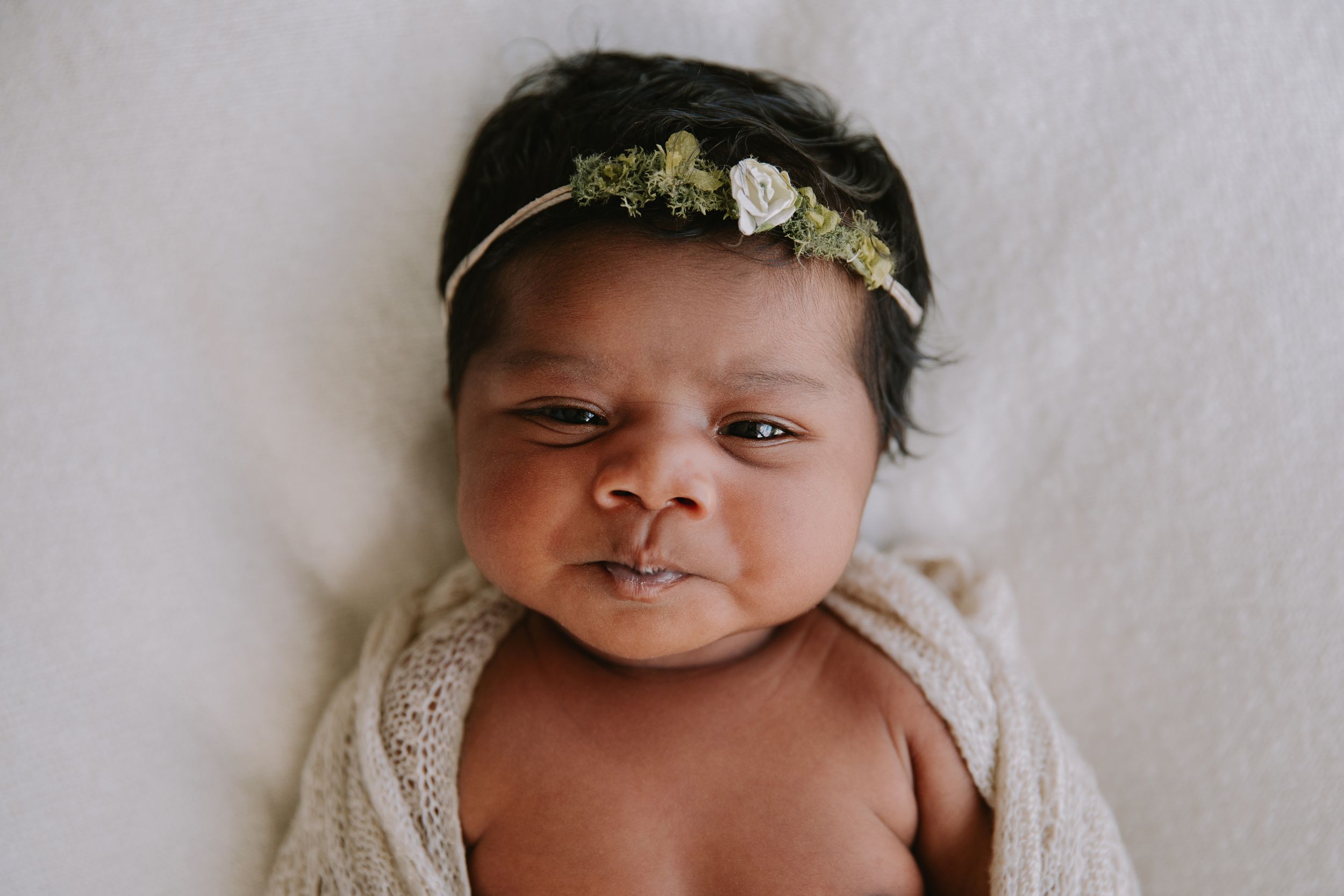 Newborn photographer in nelson tasman motueka