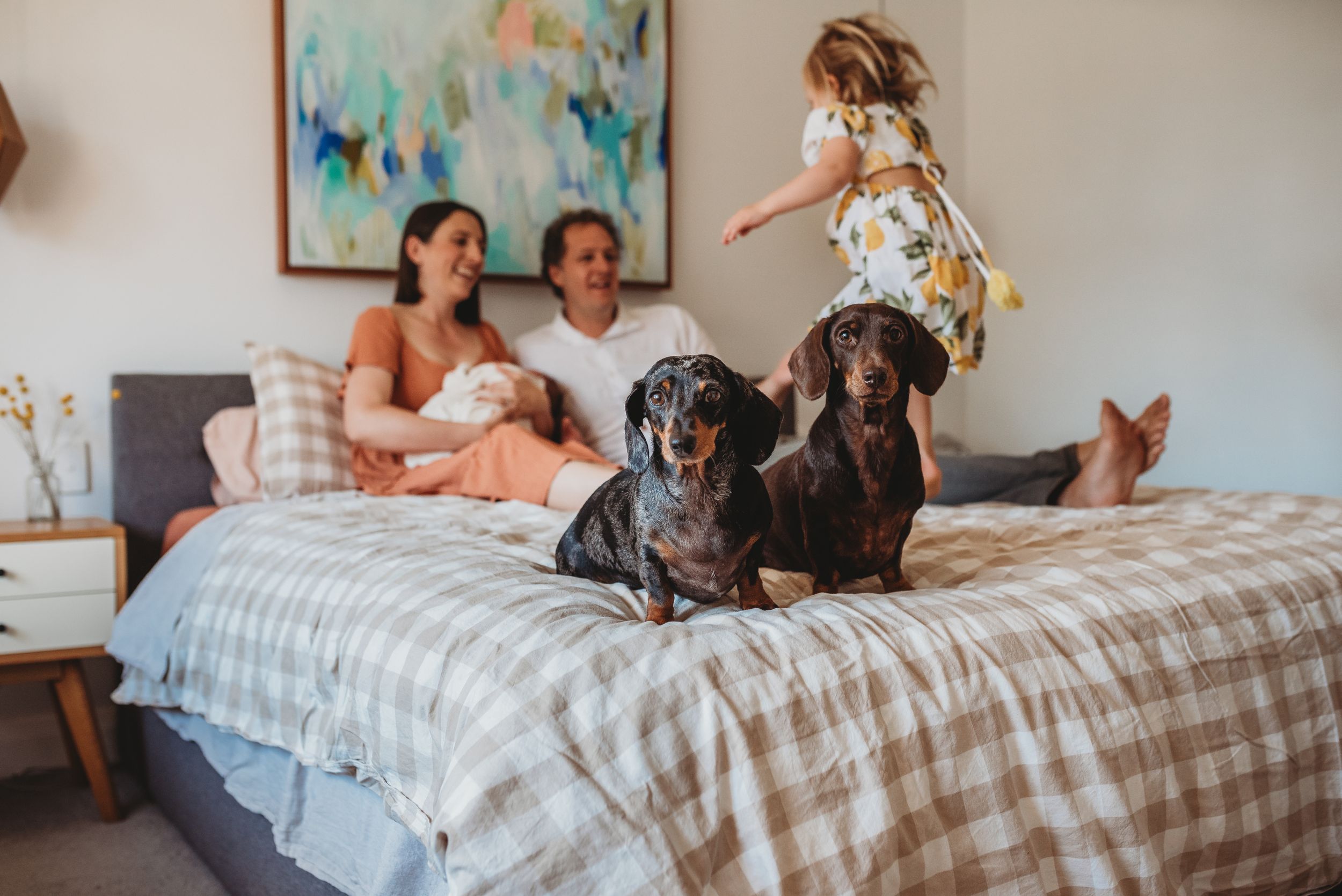 Family and pet dog sharing tender moments on a cozy bed.