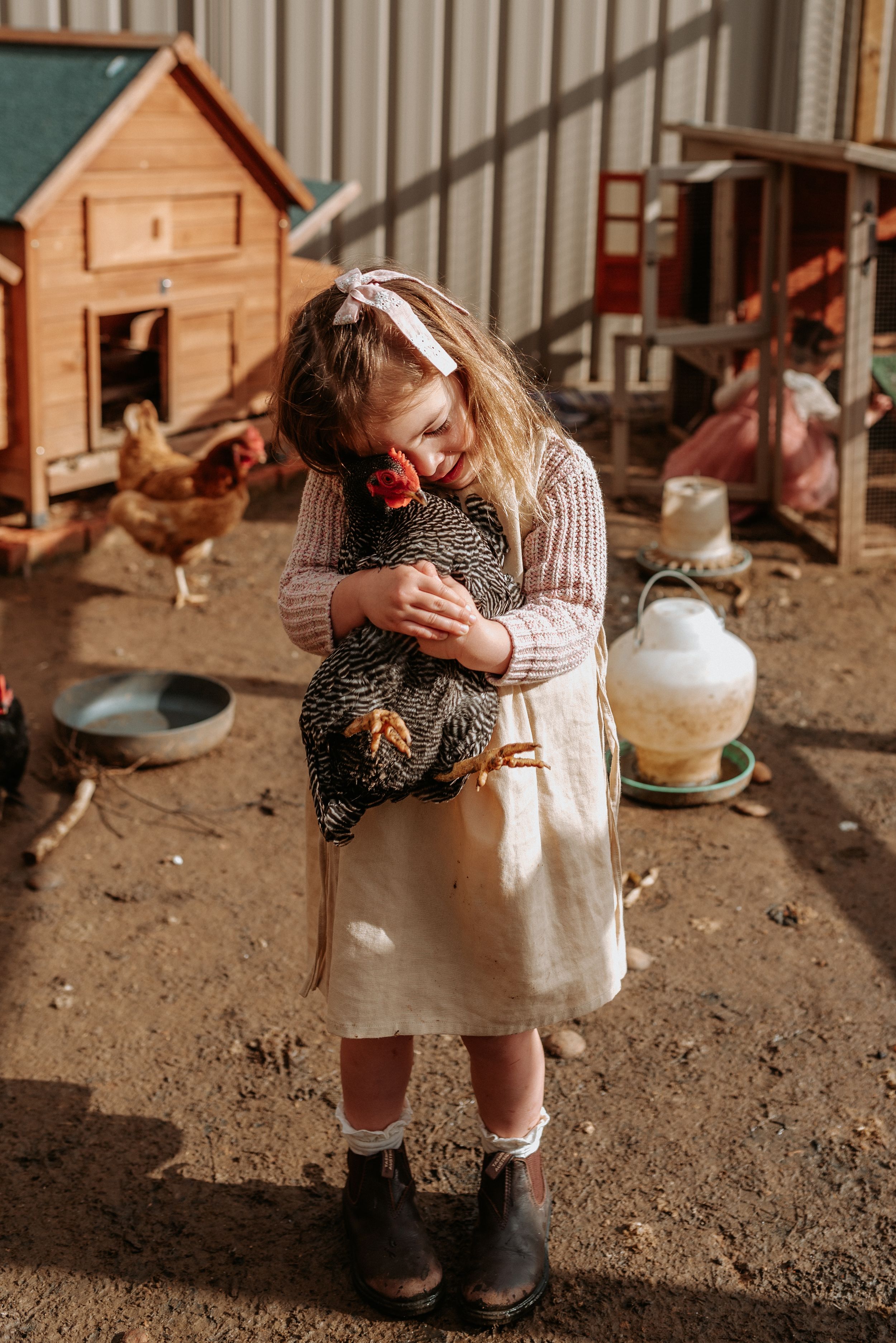 Young child in white dress holding chicken near wooden coop outdoors.