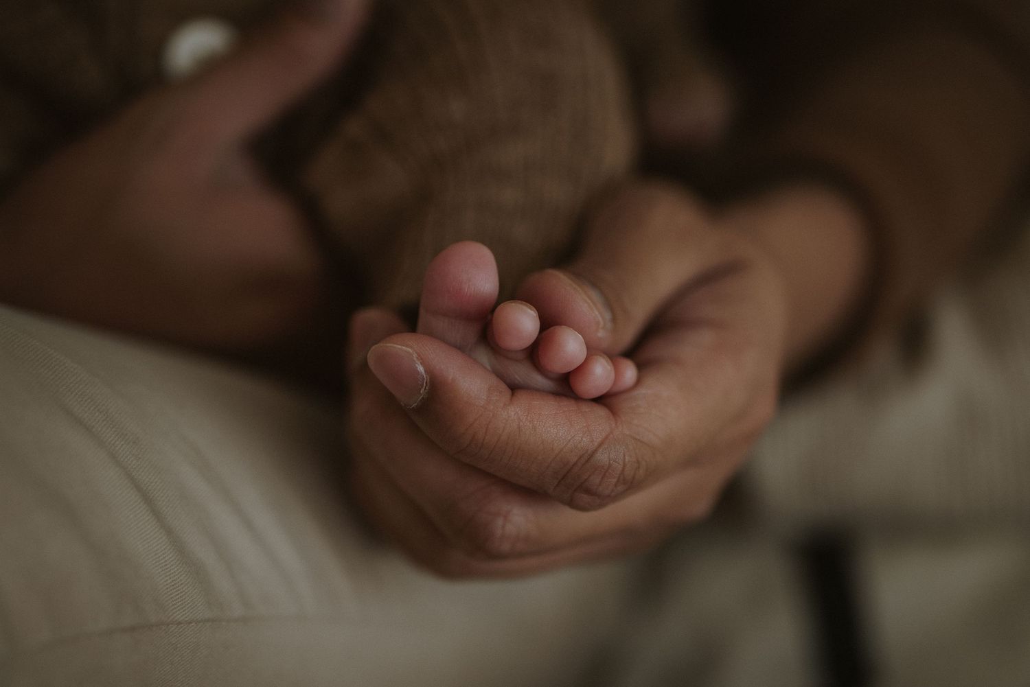 Close-up shot of tiny baby toes being held gently in adult hands in soft natural lighting.