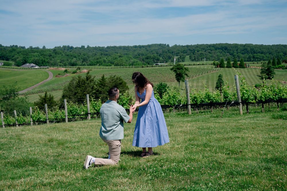 Virginia Winery Surprise Proposal Photographer