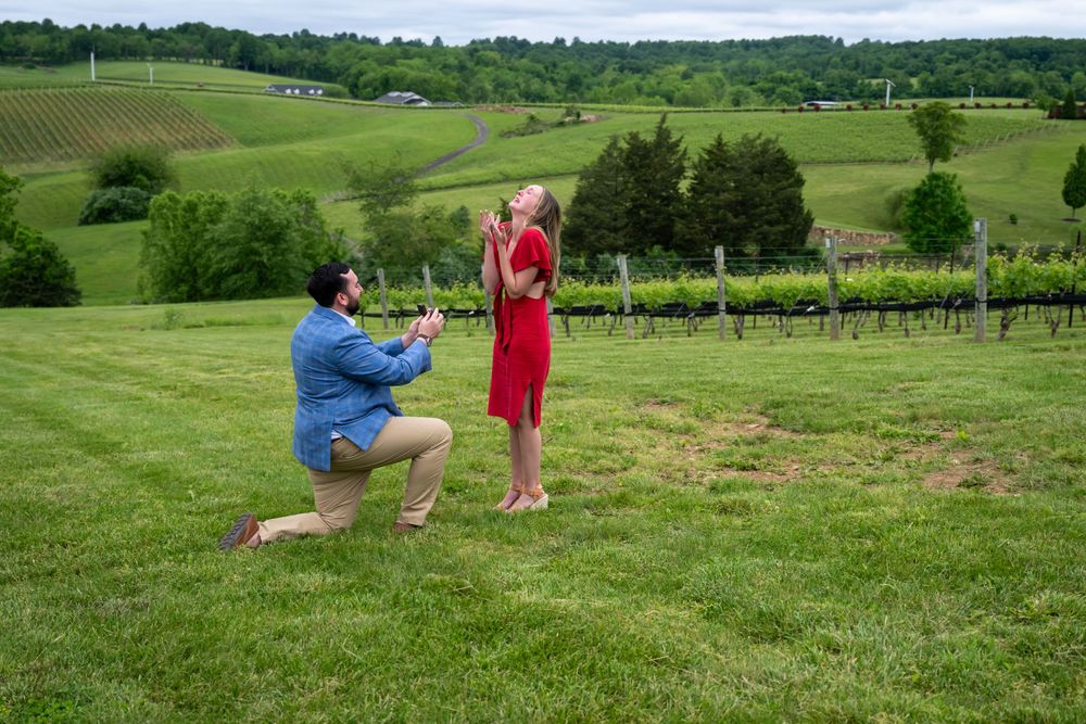 Virginia Surprise Proposal Photographer
