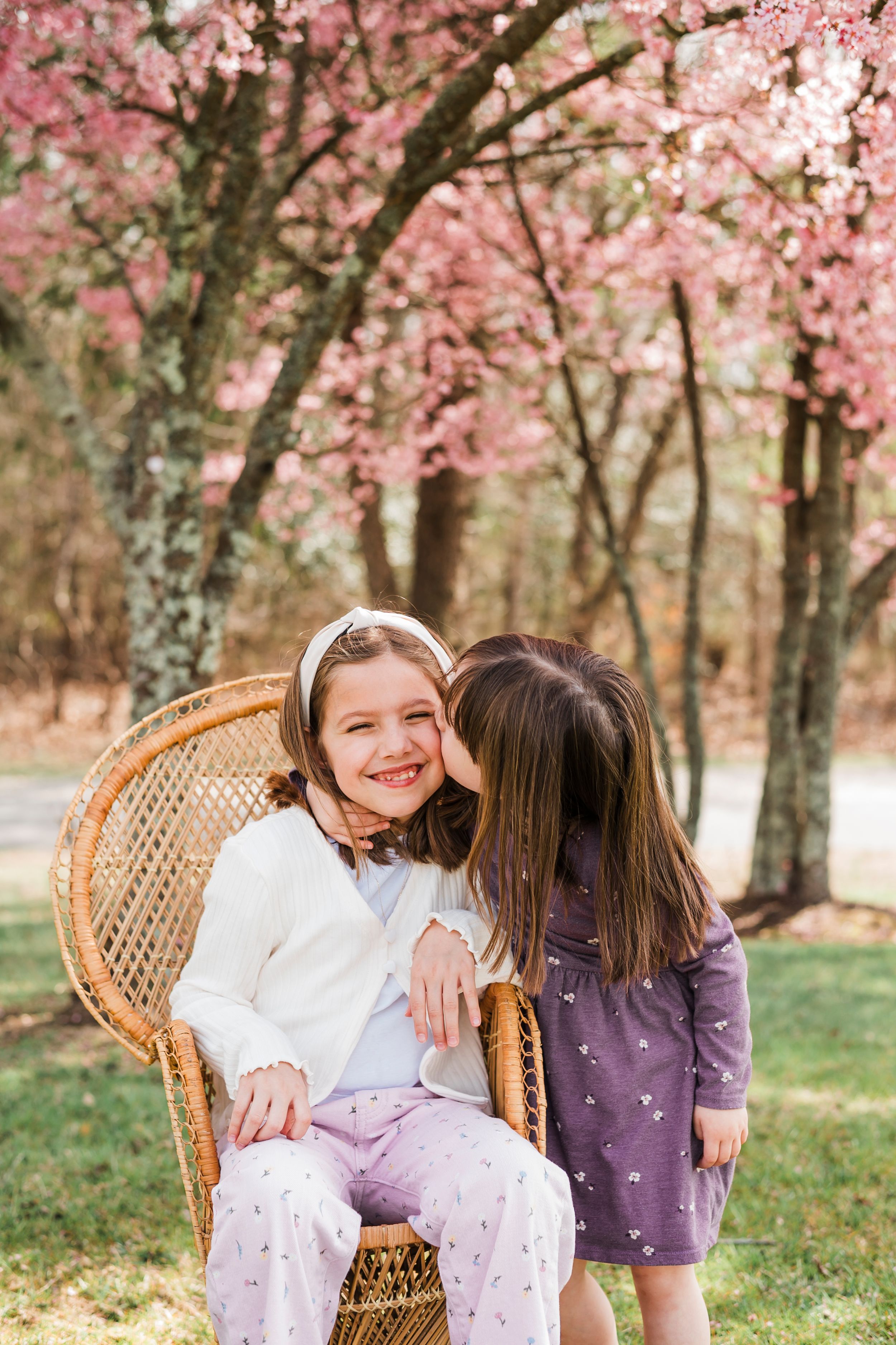 Vintage wicker throne chair photographed outdoors with beautiful pink cherry blossoms in spring.